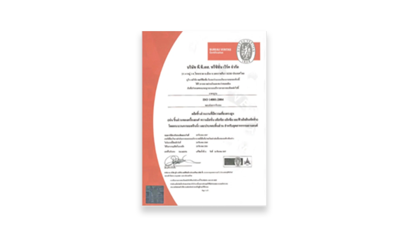 ISO / TS 16949:2009 (PCW)
