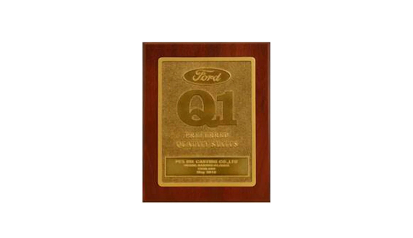 Ford Q1 Award